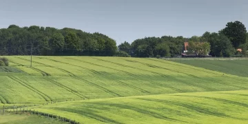 LUDGERUSWEG