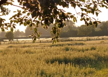 Hoge Mark Fietsroute