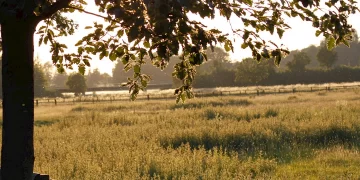 Hoge Mark Fietsroute