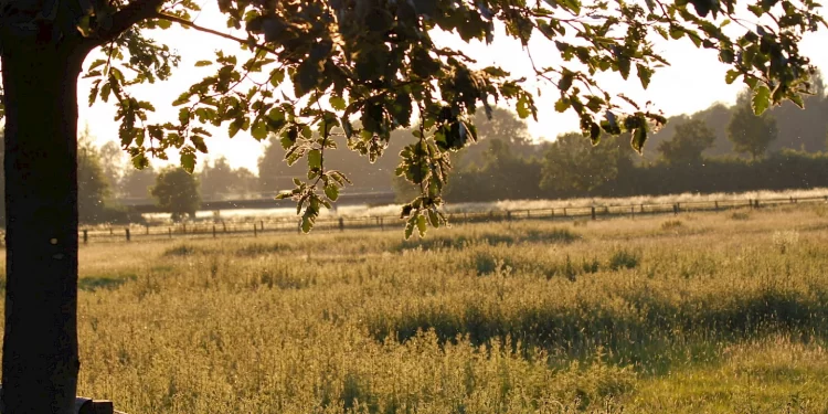 Hoge Mark Fietsroute