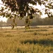 Hoge Mark Fietsroute