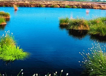 Münsterland Legende Route