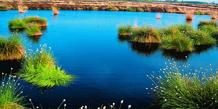 Münsterland Legende Route