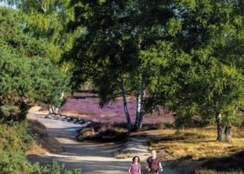 Wandelen in natuurpark Hohe Mark: elke dag een belevenis!