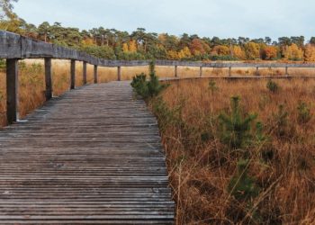 Winterwandelen in natuurpark Hohe Mark