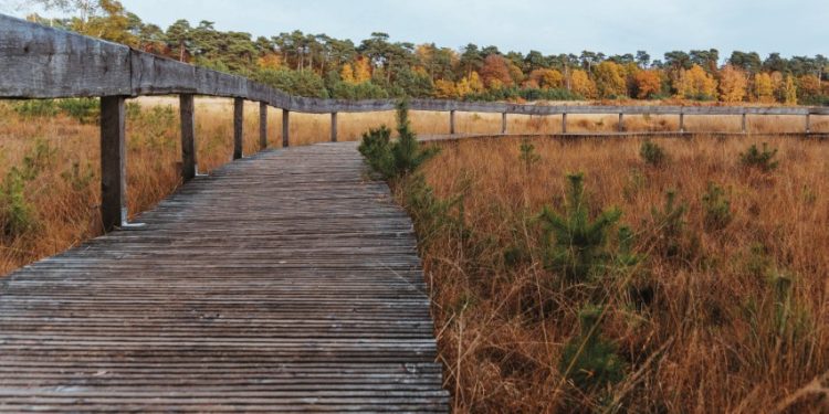 Winterwandelen in natuurpark Hohe Mark