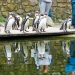 NaturZoo Rheine: dicht bij de dieren, ontdekken en beleven!